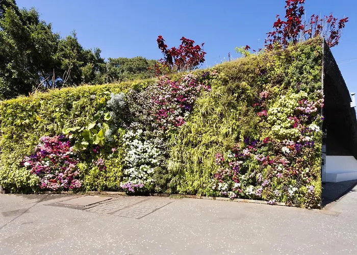 Home2book Olympo 산타크루스데 테네리페