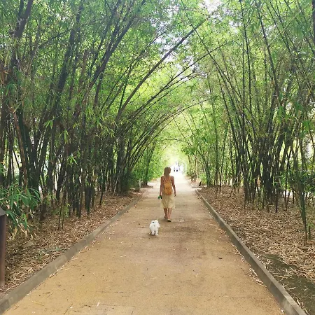 Appartement Home2book Olympo *