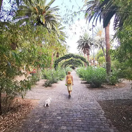 Home2book Olympo Appartement Santa Cruz de Tenerife