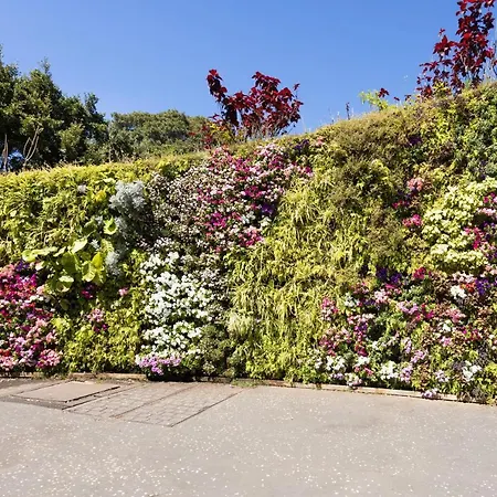 Home2book Olympo Santa Cruz de Tenerife