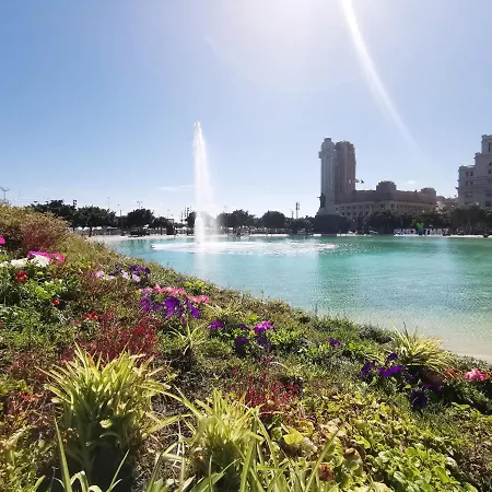 Home2book Olympo * Santa Cruz de Tenerife