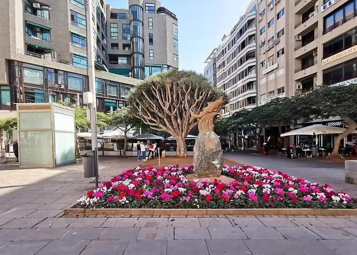 Apartament Home2book Olympo Santa Cruz de Tenerife