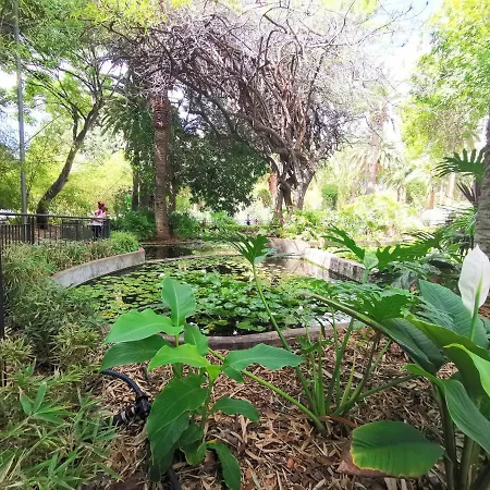 Home2book Olympo Santa Cruz de Tenerife