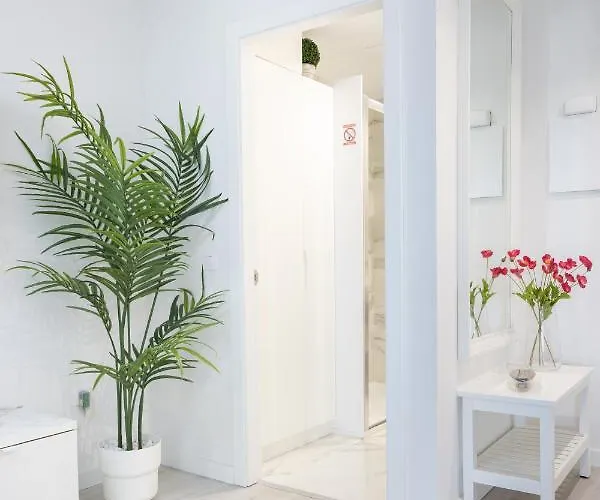 Apartmán Home2book Olympo Santa Cruz de Tenerife