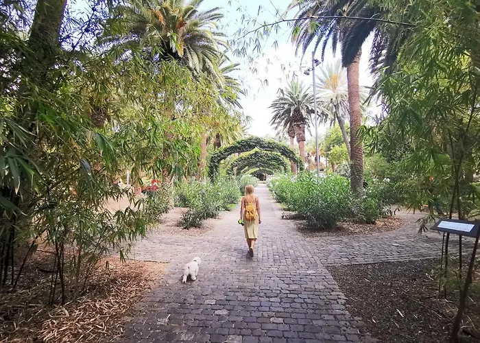 Home2book Olympo Apartmán Santa Cruz de Tenerife