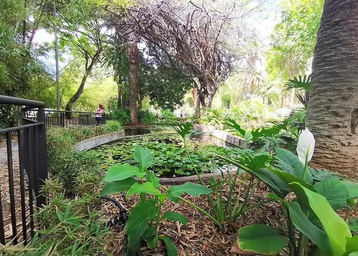 Home2book Olympo Santa Cruz de Tenerife